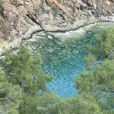 Habitación en casa particular Sea Salt , Kitchene *