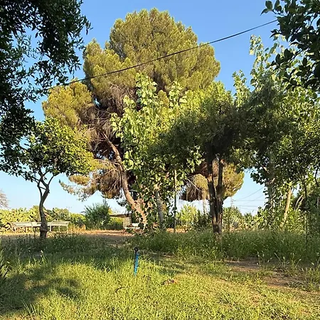 Sea Salt , Kitchene Habitación en casa particular Kemer