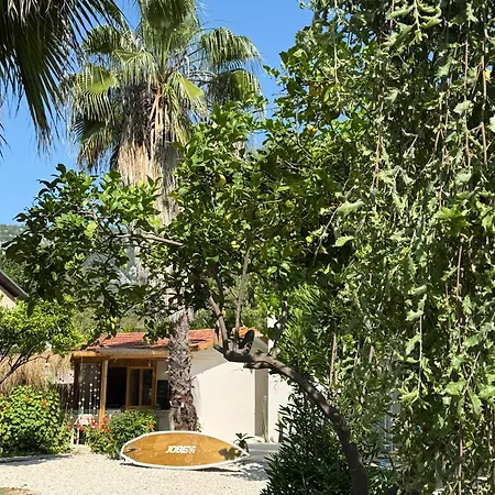 Sea Salt , Kitchene Проживание в семье Кемер