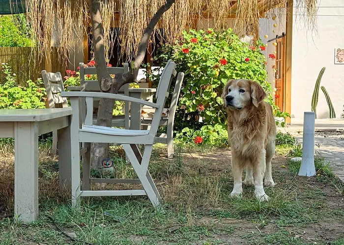 Sea Salt , Kitchene *